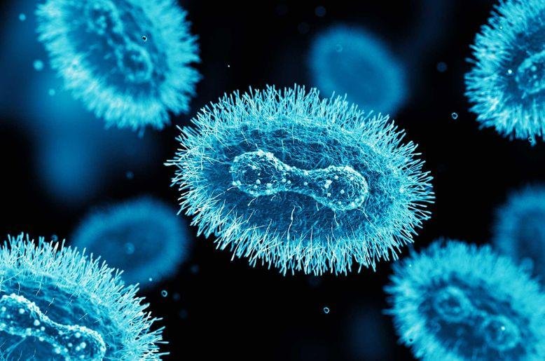 Singapore confirms first local spread of mutated monkeypox