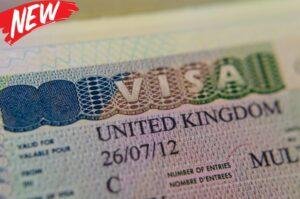 UK raises visa fees across multiple categories: check here