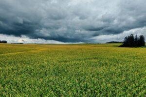 Weather tomorrow: rain, snow, strong winds expected in several areas