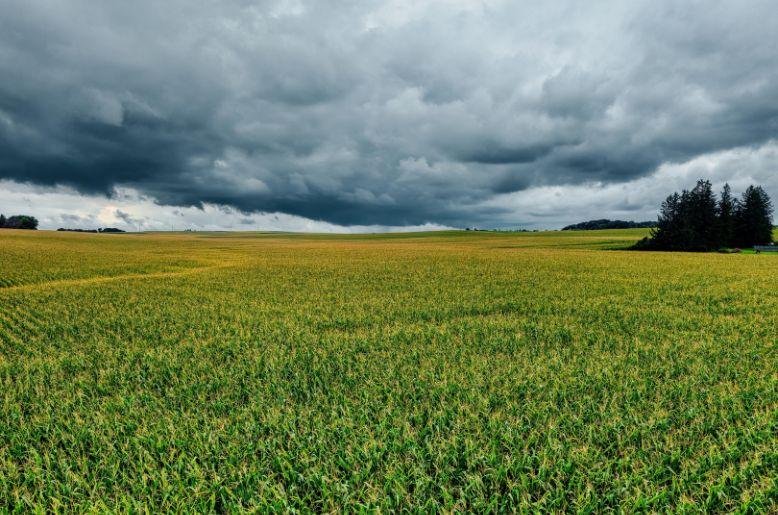 Weather tomorrow: rain, snow, strong winds expected in several areas