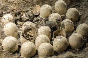 dinosaur eggs