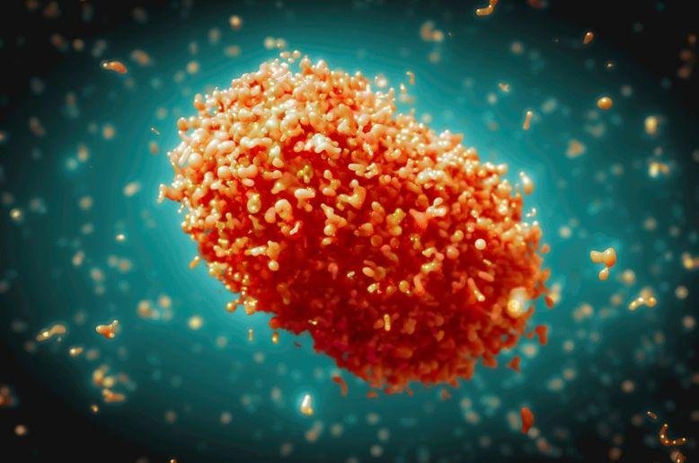 mpox virus khairpur, mpox virus