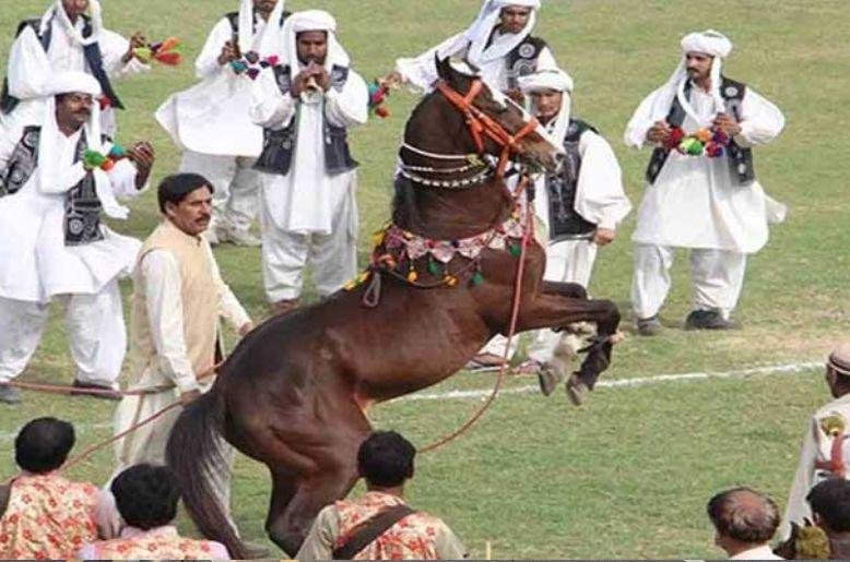 ‘Horse and Cattle Show’ Showcase of tradition