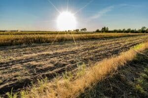 Meteorological Department warns of heatwave in THESE parts of Sindh