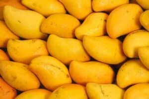 Japan suspends imports of Indian mangoes