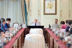 Leading Chinese firm to establish digital economy headquarters in Pakistan
