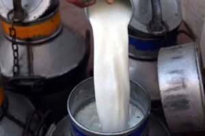 Milk price karachi, milk price, milk, milk price pakistan, milk price sindh, milk price punjab