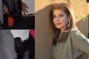 Mishi Khan seeks CM Punjab's help over viral Lahore video of anchor harassing girl