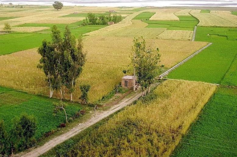 Punjab govt establishes mediation committees for land disputes