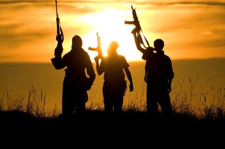 Security forces kill 4 Khawarij in Bannu operation, one injured