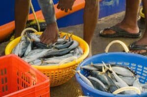 Sindh govt approves fuel subsidy for fishermen