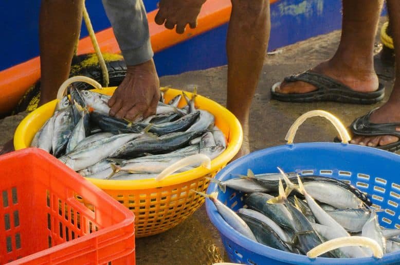 Sindh govt approves fuel subsidy for fishermen