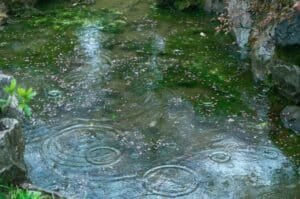 Weather today: Islamabad faces rain, hail, winds