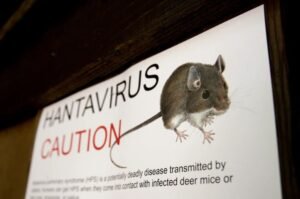 What is hantavirus, how does it spread? Check symptoms and treatment here