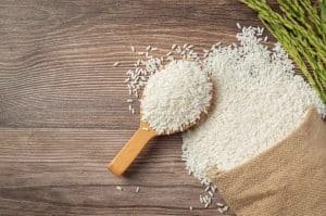 Governor Sindh reaffirms commitment to boost exports, 9% Basmati rice rebates
