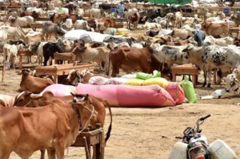 Six sacrificial animal markets to be set up across Rawalpindi Division
