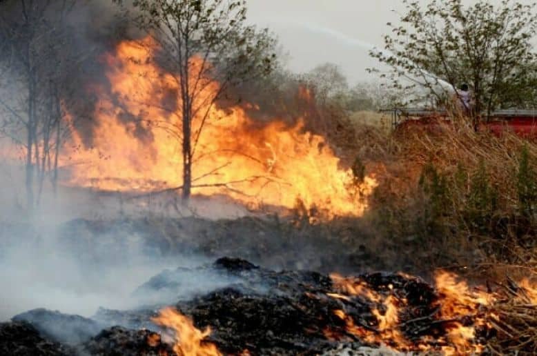 Kotli Sattian forest fire causes massive damage