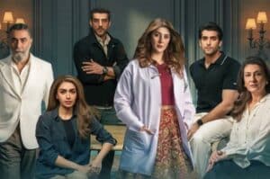 Story of Minna and Faizan continues to win hearts in Dr Bahu
