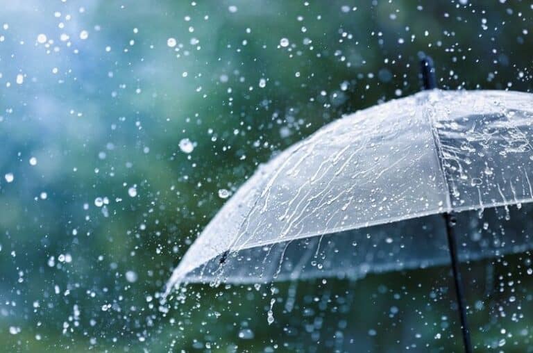 Monsoon arrives in Pakistan rain forecast across Punjab