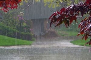 Monsoon July 3