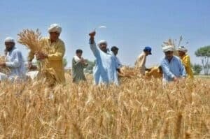 Punjab govt takes steps for welfare of farmers in Bahawalpur