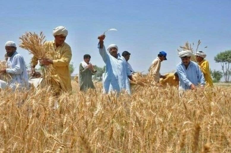 Punjab govt takes steps for welfare of farmers in Bahawalpur