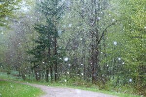 Rain, hailstorms hit several areas of Islamabad today