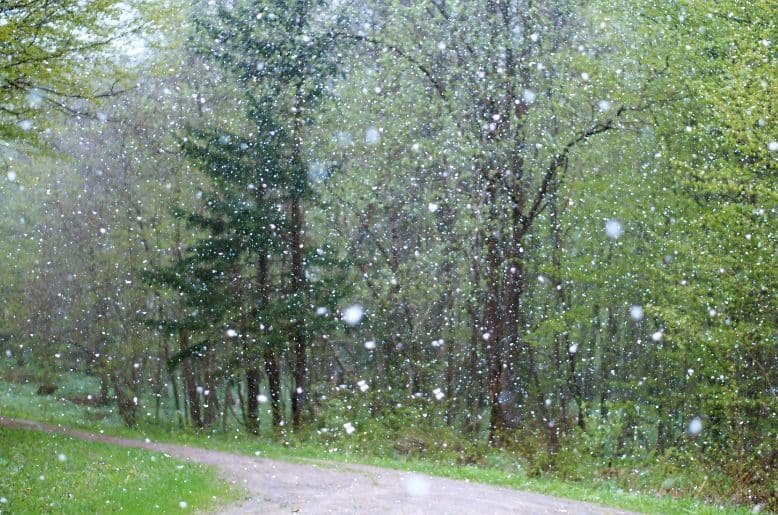 Rain, hailstorms hit several areas of Islamabad today