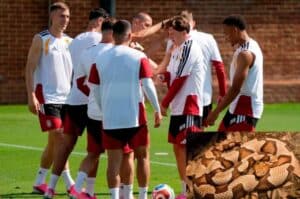 Germany squad on alert after venomous snake spotted at training camp