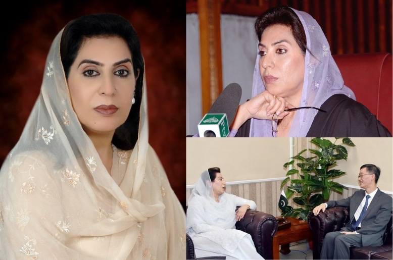 Who Is Fehmida Mirza?