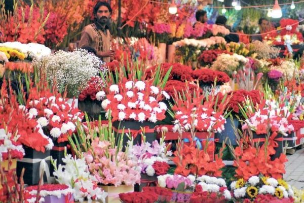 Islamabad flower markets bloom with colours, freshness