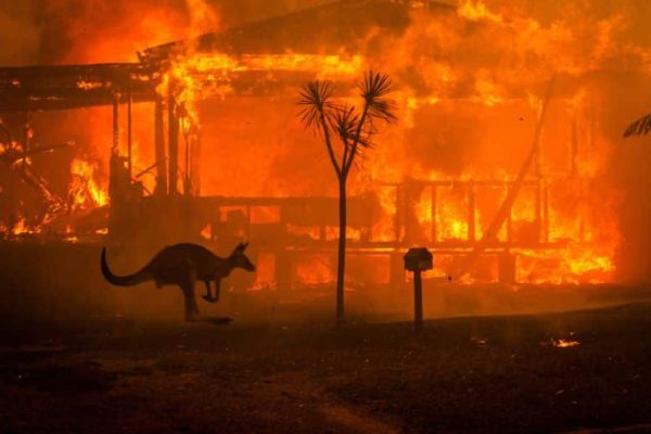 Australia faces bushfires, thousands of homes destroyed