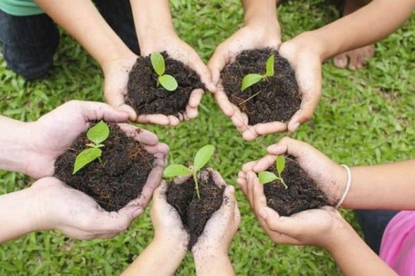 Green goes digital: Tech-driven tree plantation campaigns take root