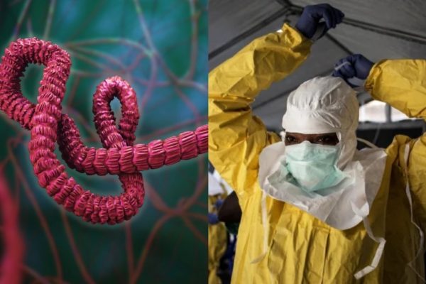 WHO declares Ebola outbreak a global health emergency