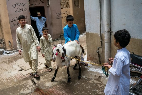 Heavy fine imposed in Punjab for dumping animal waste on Eid-ul-Azha