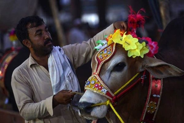 Eidul Azha: All arrangements completed for Lahore cleanliness operation