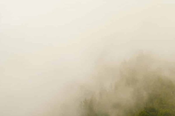 Punjab weather: severe fog leads to temporary closure of motorways