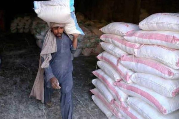 Flour prices to rise after hike in wheat rates in Karachi