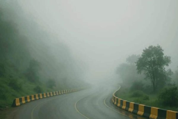 Fog Update: Dense fog shuts down several motorways