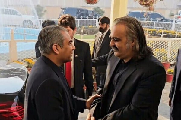 Mohsin Naqvi made maximum efforts to free Imran Khan: Ali Amin Gandapur