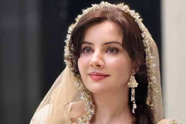 Big development in Rabi Pirzada harassment case