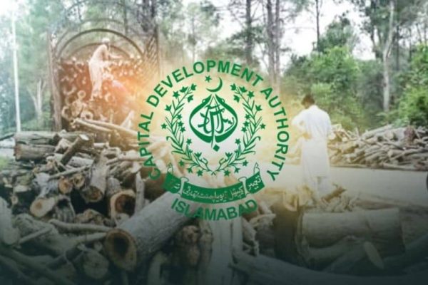 Court bars CDA from cutting trees in Islamabad
