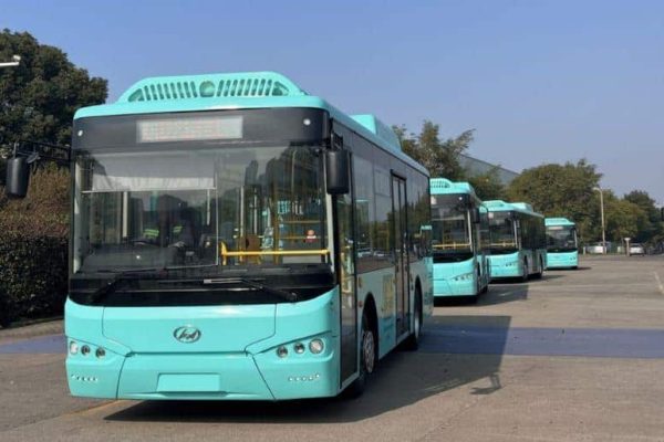 Strict action against buses dropping passengers on roads