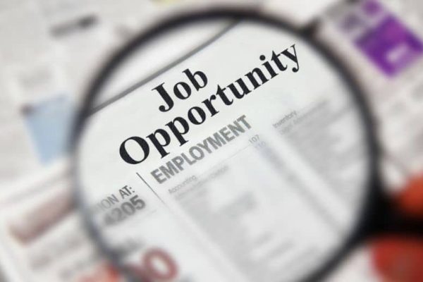 Govt announces hundreds of Job openings in Punjab