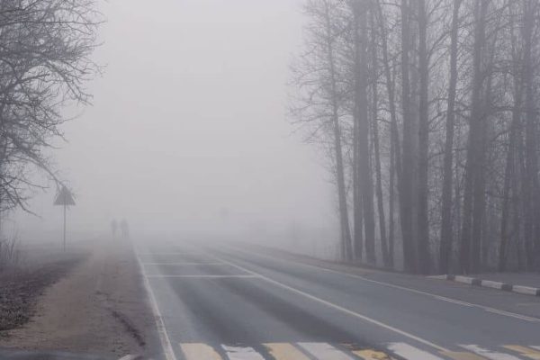Motorways closed due to heavy fog: see details
