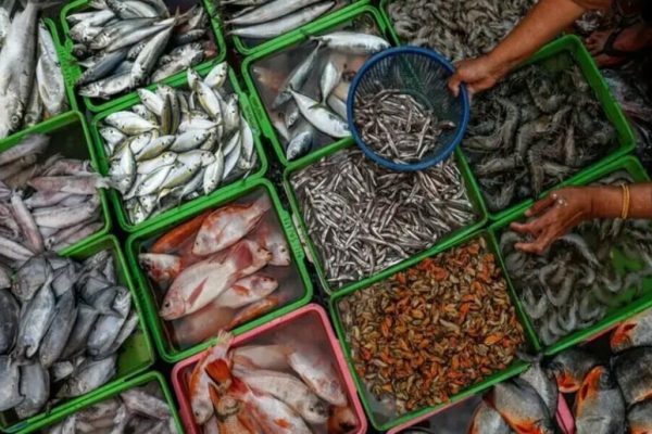 Pakistan’s seafood exports hit record high as new markets open up