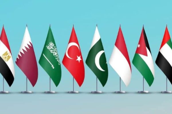 Pakistan, seven other Muslim nations warn of Gaza humanitarian crisis