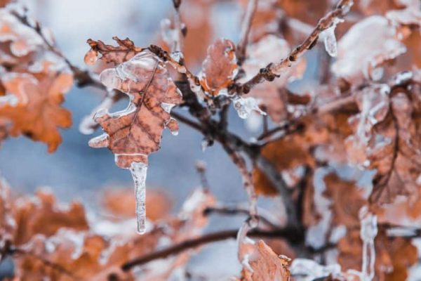Pakistan weather today, January 10: cold weather persists
