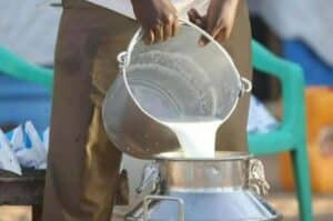 Milk prices increased