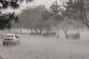 Monsoon rains claim 121 lives across Pakistan, NDMA reports